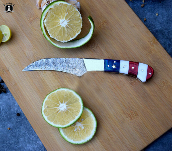 American Chef Knives Set of 5 Handmade Damascus Steel Blade Flag Handle Design with Leather Sheath - Image 6