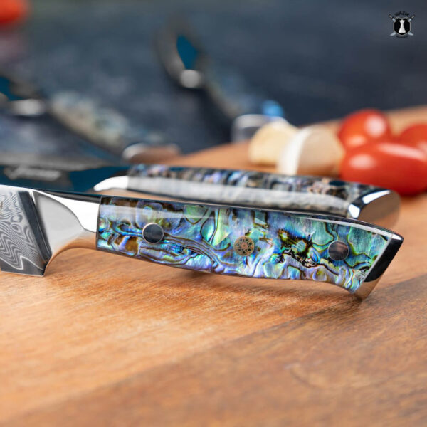 Custom Handmade Damascus Steel Chef Set Abalone Shell Handle With Free Leather Sheath - Image 3